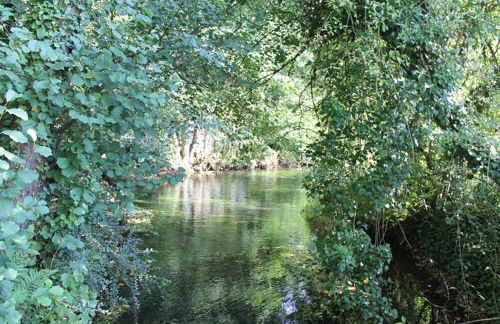 Fewo Waldfeeling - Foto 18