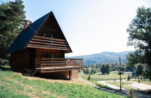 Ośrodek Wczasów Zdrowotnych Rudawka Rymanowska - Foto 68