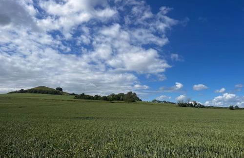 Alba Cottage, Wilcot, Pewsey - Foto 27