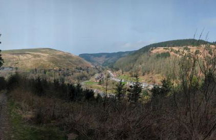 Cape Cottage - Photo 20