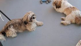 La Fontanella Apartment - Foto 3