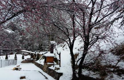 La Batllia - Foto 49