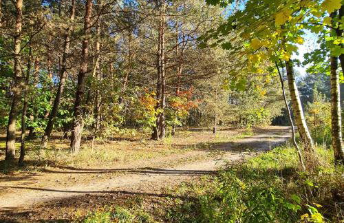 Domek pod Lasem - Foto 15