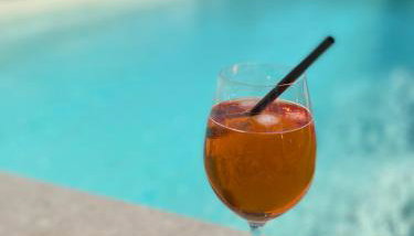 Gemütliche Ferienwohnung mit Pool bei Jena - Foto 2