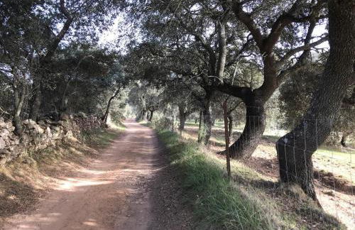 Casa rural Alameda en Alanís, Sierra Norte de Sevilla - Foto 17