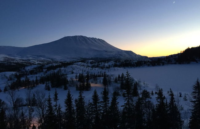 Gausta View - Photo 29