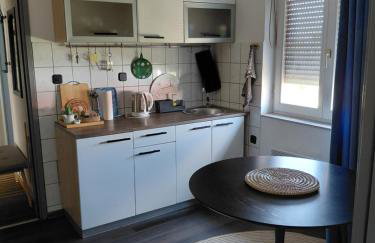 Apartman Dunav - Foto 15