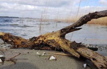 Ferienhaus-Hus-Stine-an-der-Mueritz - Photo 50