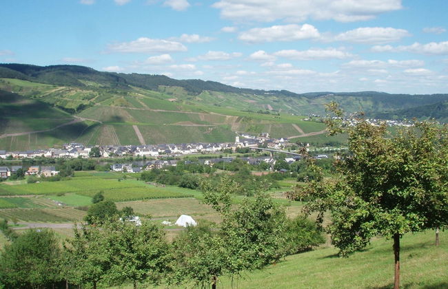 Vineyard View Romantic Stay - Foto 15