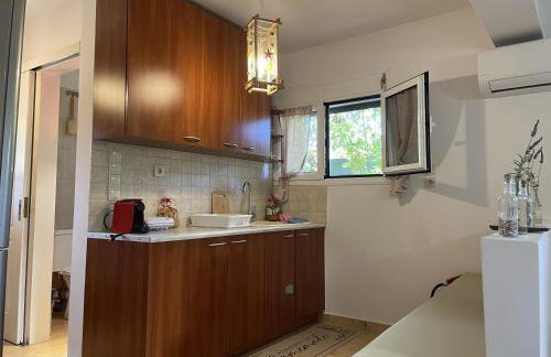 Paulina's Little House - Foto 15