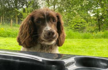 Alpaca Fold - Foto 24