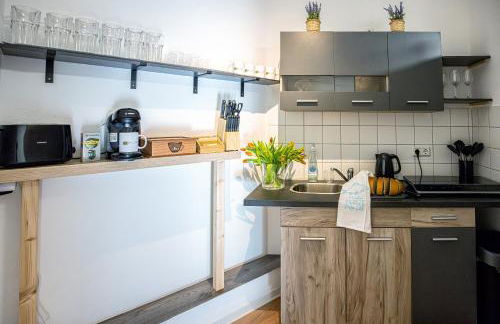 Luxus City Apartment Sauna Balkon Küche Zentral - Foto 11