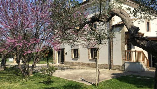 Az. Agr. Parco dei Buoi - Foto 2, Garden