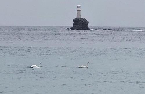 Palaiokrassa sunny appartment - Foto 34