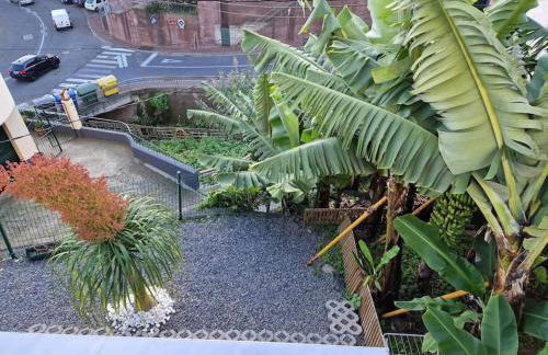 House in Camara de Lobos - Foto 55