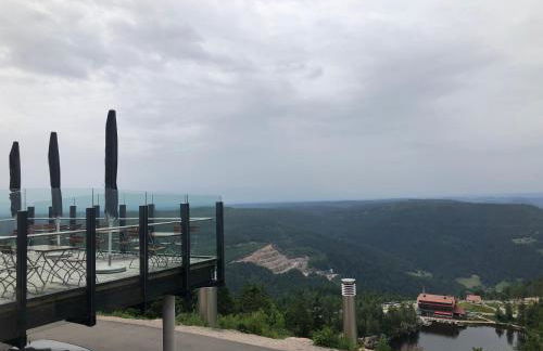 Schwarzwald Wohnung Kniebis - Foto 27