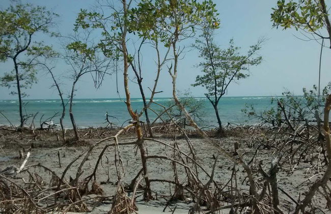 Jericoacoara Quad Tour - Photo 2