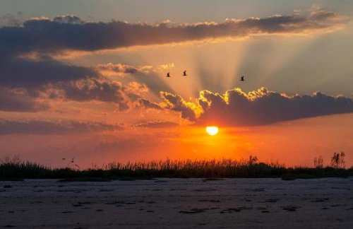 Crystal Sands - Foto 34