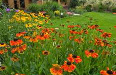 Sjesta al mare, domki z sauną i balią z jacuzzi - Foto 9