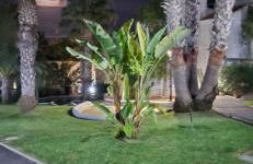 Green Oasis - Foto 23