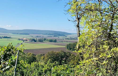 Kleines Glück - Foto 13