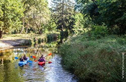 APARTAMENTY ZACISZE - Foto 68