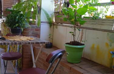 Pertinho da Mata - Foto 10