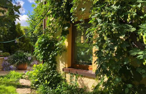 Ferienhaus Erzgebirge "An der Trebe" mit Kamin und Sauna - Photo 21