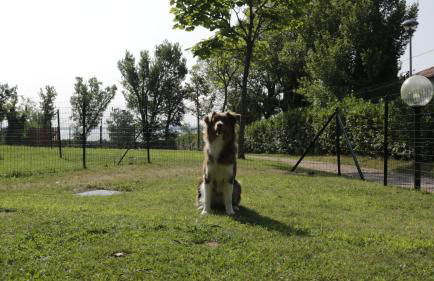 Residence Karina - Foto 38