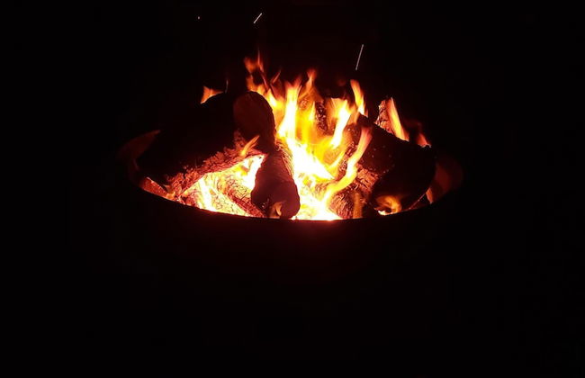 Saughall Mill Farm Cottage - Photo 69