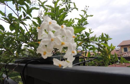 Apartments "i Ciclamini" a Moniga del Garda 2 - Foto 47