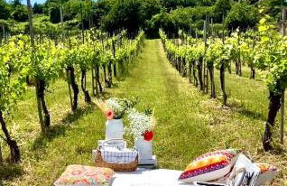 Casale Serena 1912 - Foto 15