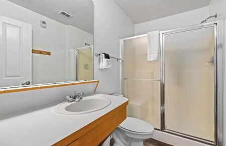 2 MI to USF + Long Term Stays allowed + Gym + Pool - Foto 21