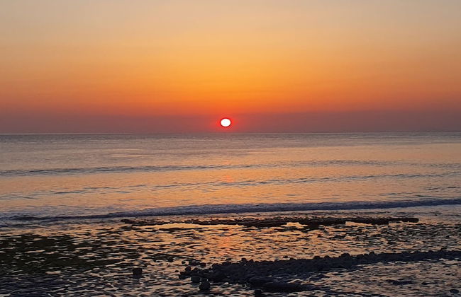 Luxury Shepherds Hut Near Glamorgan Coast - Foto 29