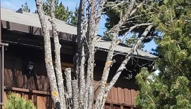 chalet de l ours - Foto 4