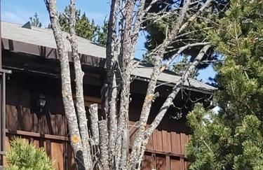 chalet de l ours - Foto 4