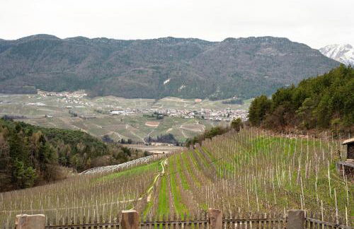 Agriturismo Alpenvidehof - Foto 17