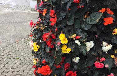 Beachside Apartment - Foto 31