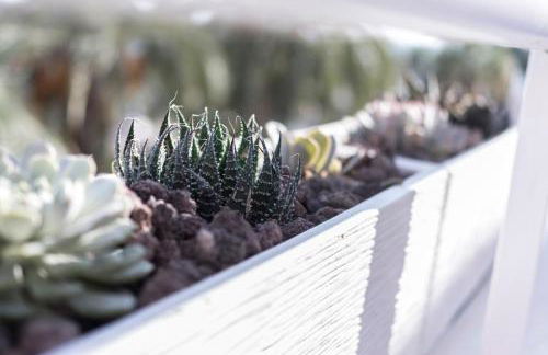 Seaport Aguadulce Beach - Foto 7