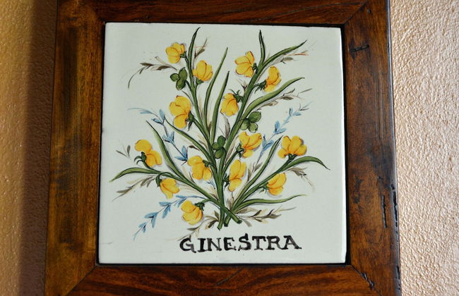 Agriturismo Cantagallo - Foto 25