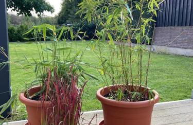 Einzelzimmer Nr 1 in Kleve - Foto 9