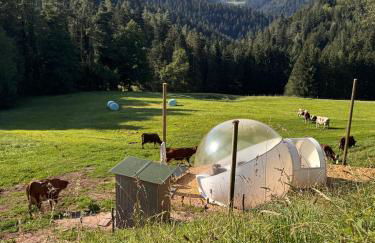 Hansjörgenhof Bioland-Hof - Foto 26