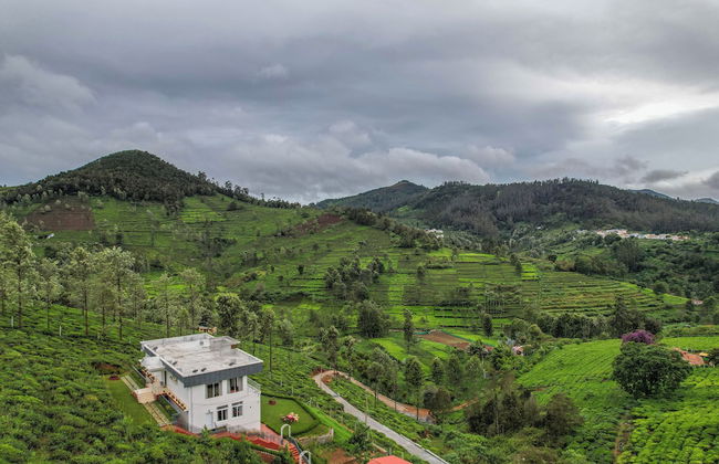 Heavenly Hills - Foto 24