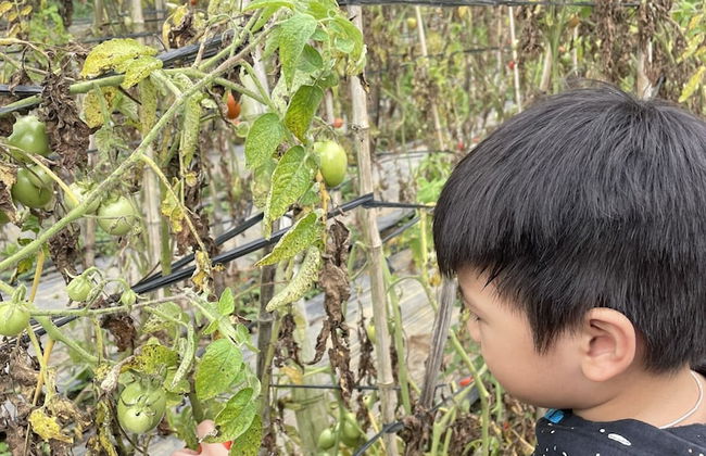 Farmstay Ban Bua - Photo 28