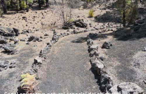 La Fortaleza - Foto 55