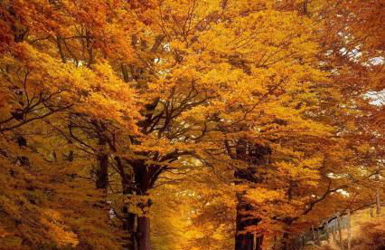 LORICAskiHOME - Foto 39