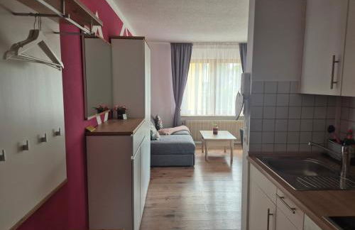 Apartment Rosalie Burgblick EuropaPark in ca 15min erreichbar - Foto 16