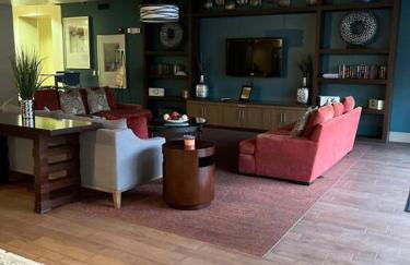 Home felt apartment- Med Center/NRG - Foto 23