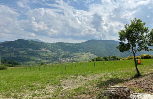 Agriturismo cergallina - Photo 17