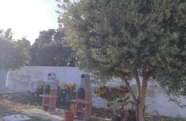 Villa Lea - Foto 23